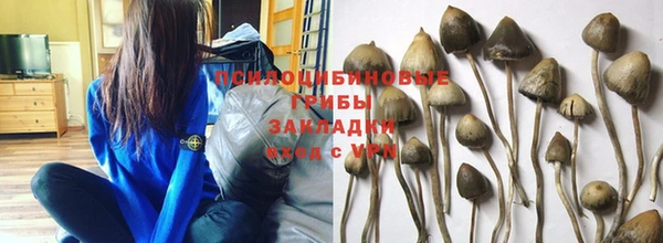прущие крисы Аркадак